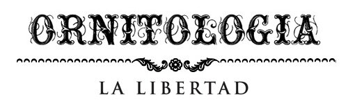 :: la libertad ::