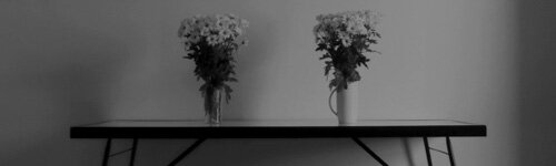 :: hidrogenesse vs. the hidden cameras : he falls to me ::