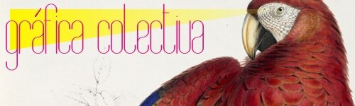 :: año nuevo : diseño nuevo : proyectos nuevos ::