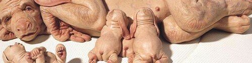 :: patricia piccinini :: [tiernas] criaturas  ::