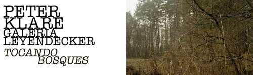 :: peter klare : tocando bosques ::