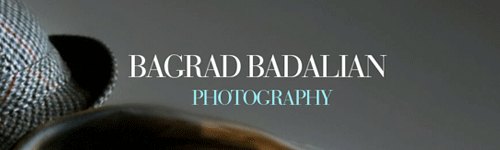 :: bagrad badalian ::