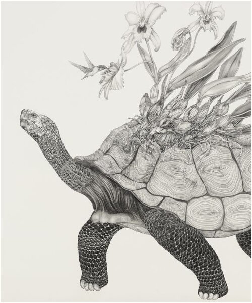 :: tara tucker ::